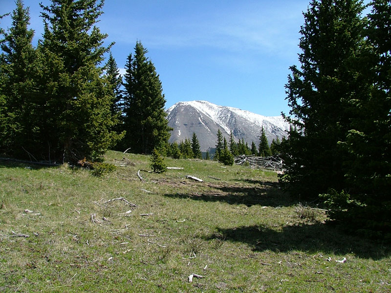 acres featuring a sun drenched lower meadow and upper forested