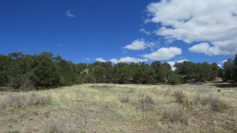 Milligan Ranch Parcel #7 SOLD | Spanish Peaks Land Company