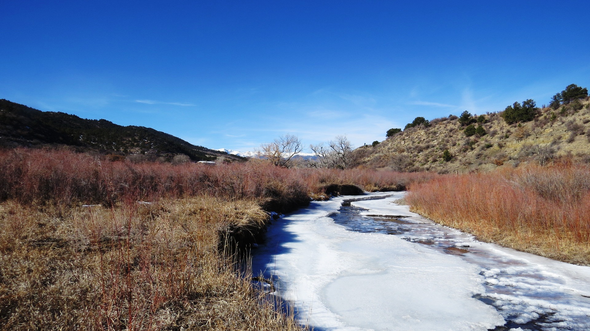 Purgatory River Weston 60 Acres 195,000 Spanish Peaks Land Company