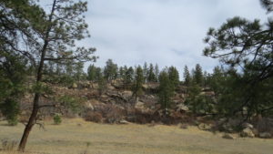 Property Featured Image
