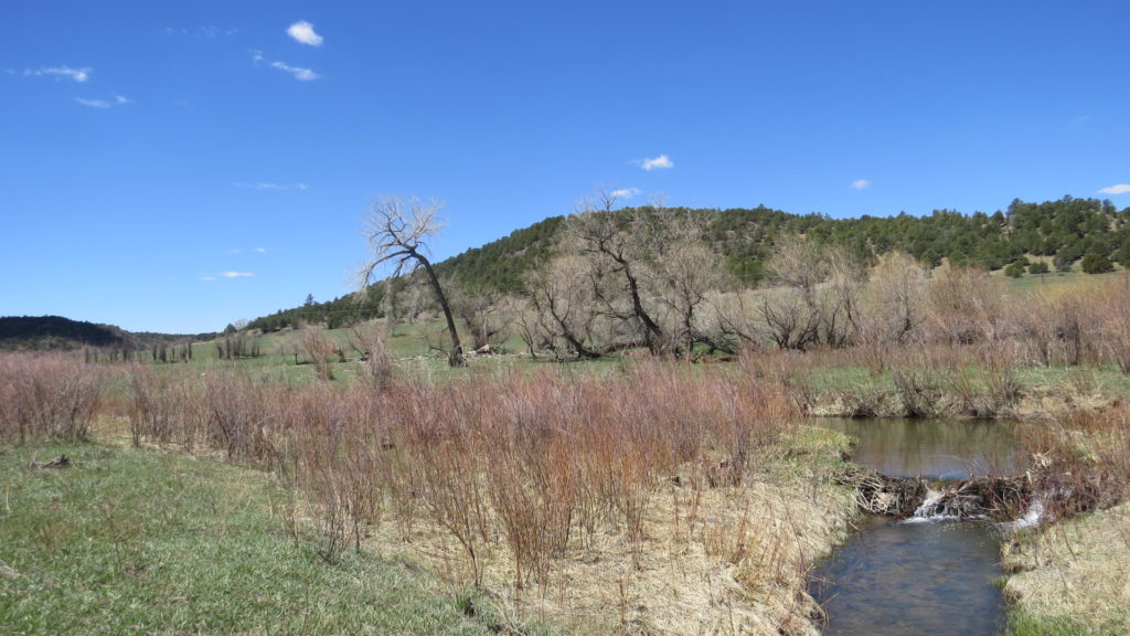 Apishapa River 40 Acres | Spanish Peaks Land Company