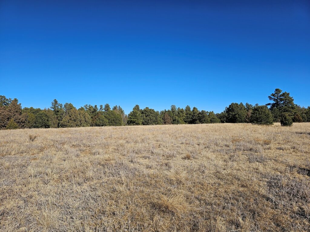 Del Agua Canyon Ranch 3 Spanish Peaks Land Company