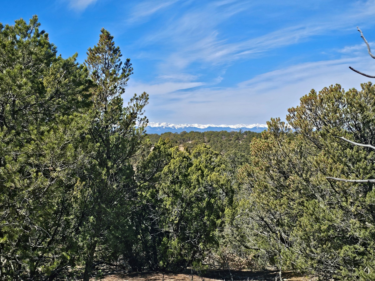 Property Featured Image