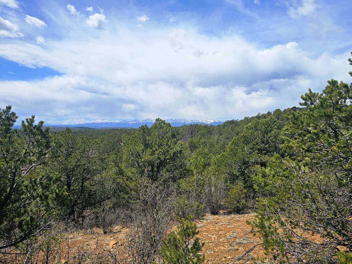 Property Featured Image