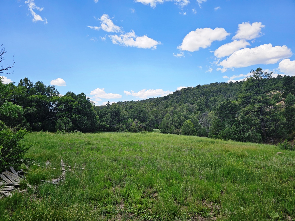 Property Featured Image
