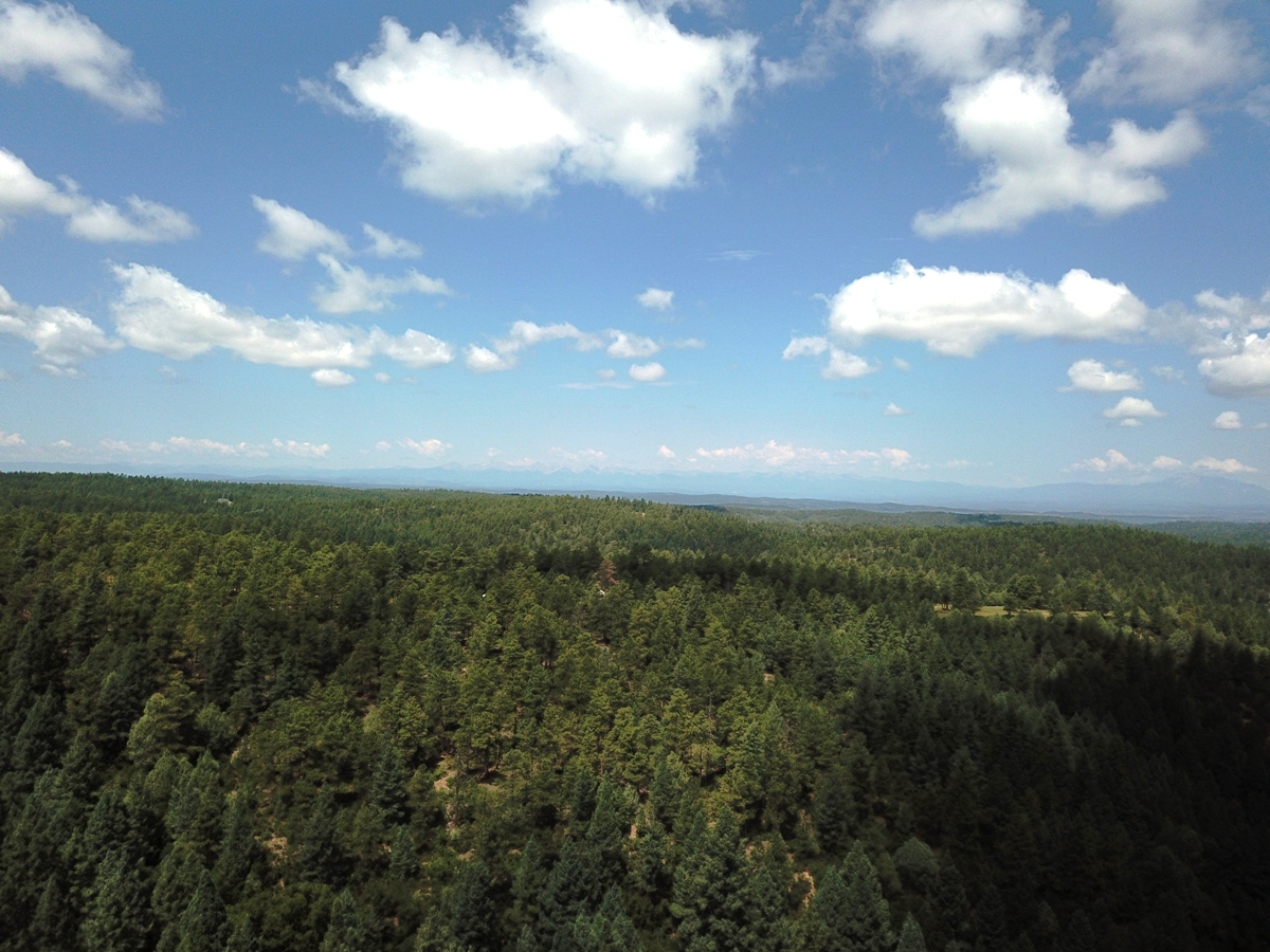 Property Featured Image