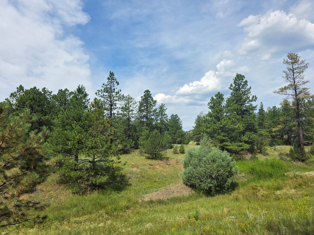 Property Featured Image