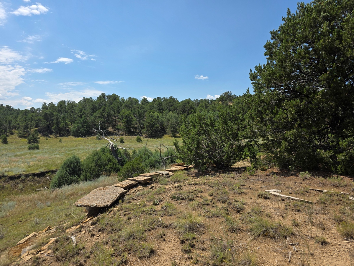Property Featured Image