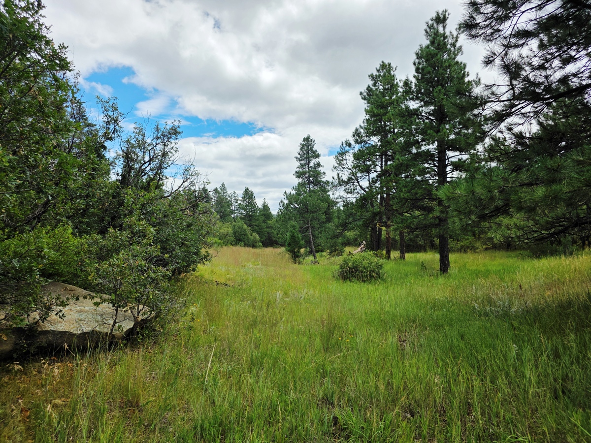 Property Featured Image