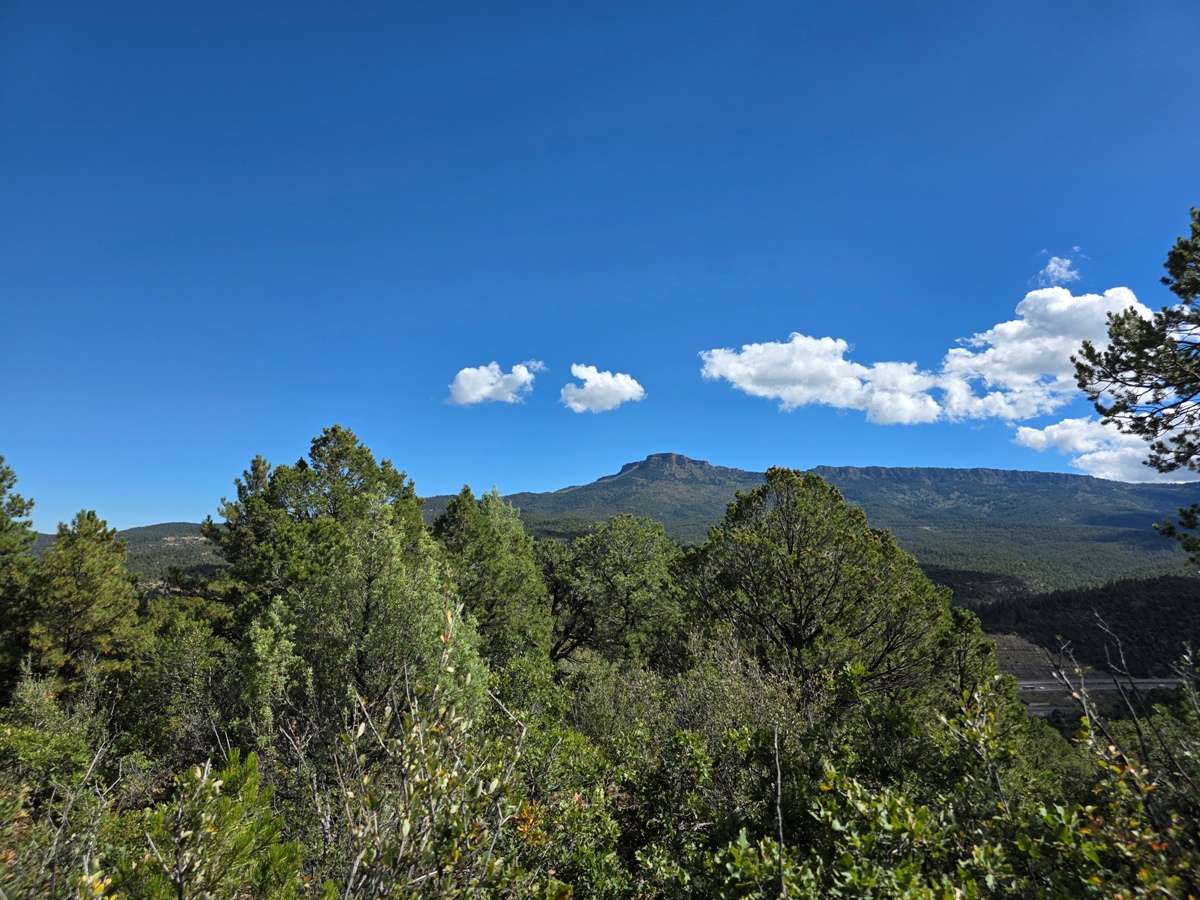 Property Featured Image