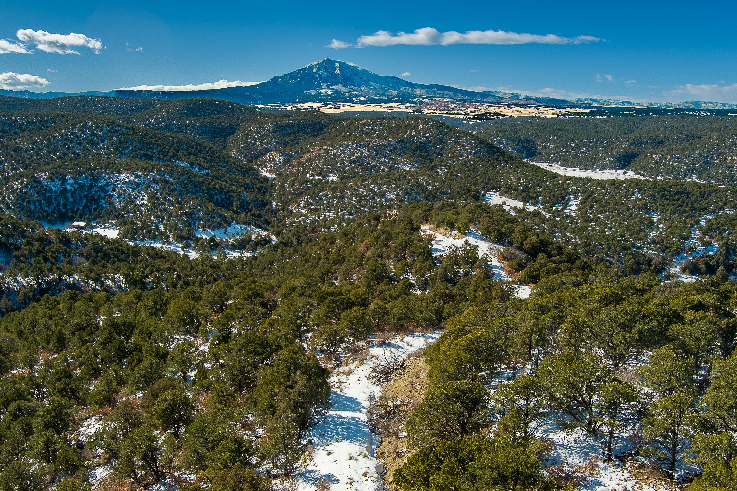 Property Featured Image