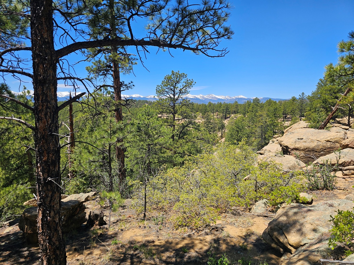 Property Featured Image