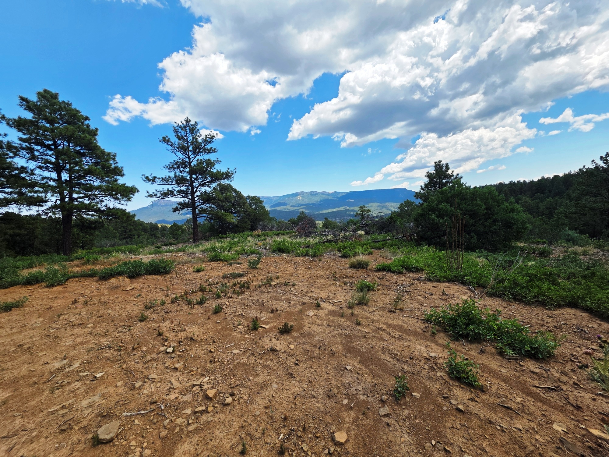 Property Featured Image